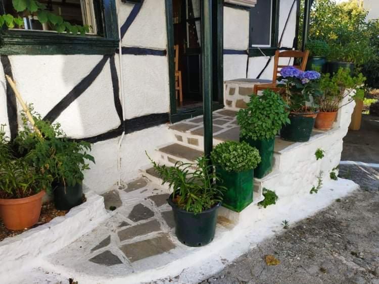 Lefkada Villas Panoramic Katouna Buitenkant foto